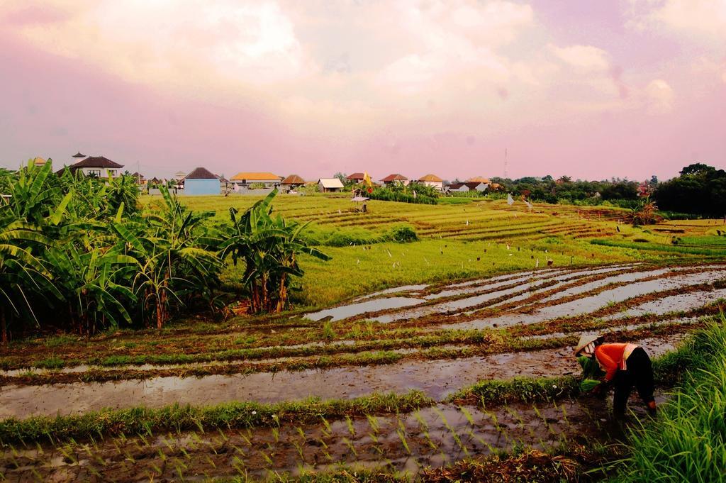 Grandpa Guest House Canggu  Luaran gambar