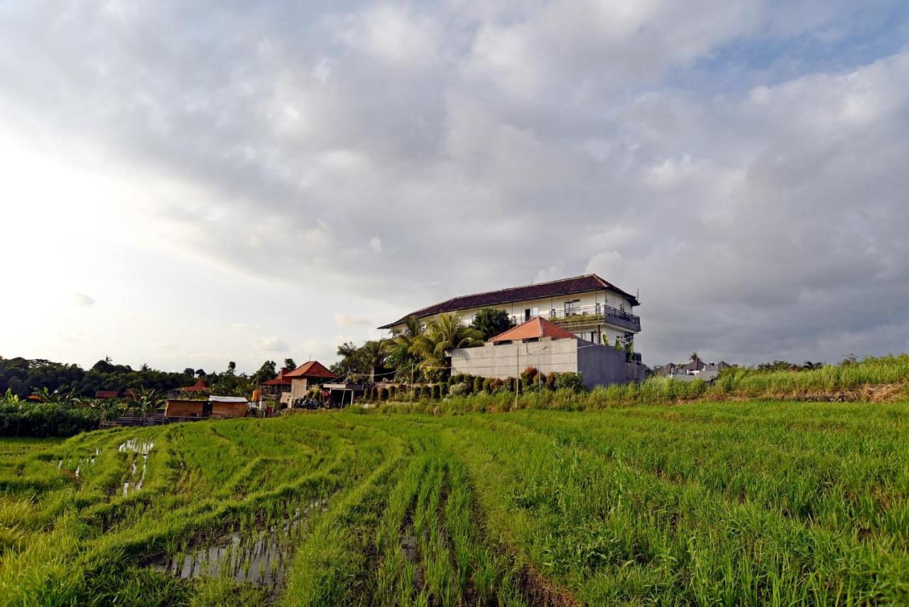 Grandpa Guest House Canggu  Luaran gambar